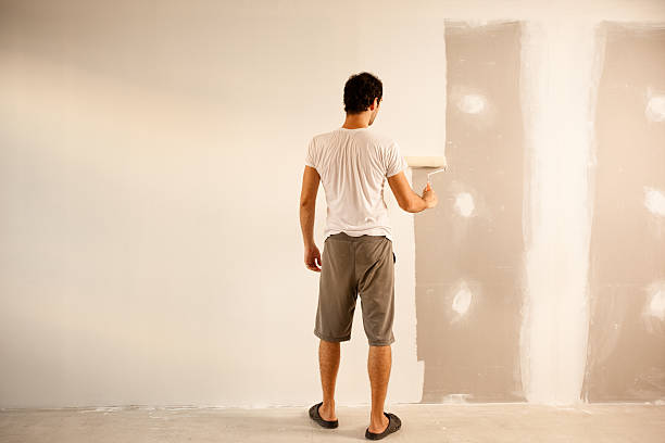 Best Wallpaper Removal and Painting  in Kirkl, IN